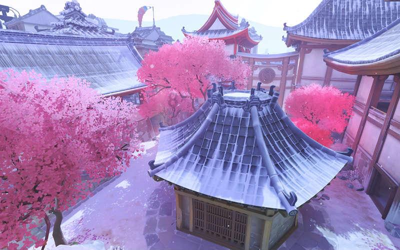 世界上最大的龟是什么？游戏画面